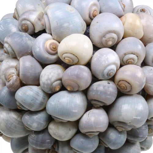Floristik24 Deco pallo merietanat isot Merikoristelu ripustettavaksi Ø25cm
