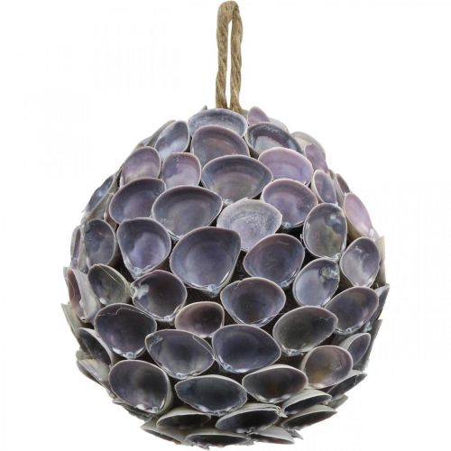 Floristik24 Kuoripallo Merikoristelu kuorilla Deco pallo violetti Ø12cm