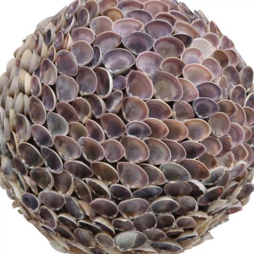 kohteita Deco pallokuoret kuoripallo iso Merikoristelu Ø25cm