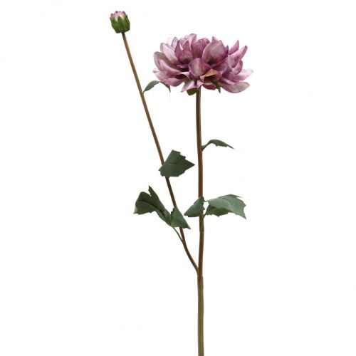 Floristik24 Tekokukka Dahlia Purppura silkkikukka ja silmu K57cm