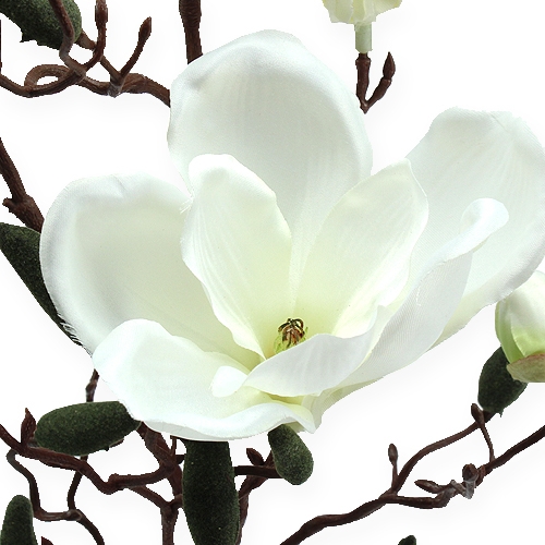 kohteita Keinotekoinen magnolia oksakreemi 90cm