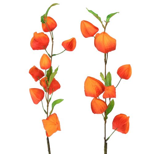 Tekokukka oranssi lyhtykukka Physalis koristeelliset silkkikukat 93cm 2 kpl