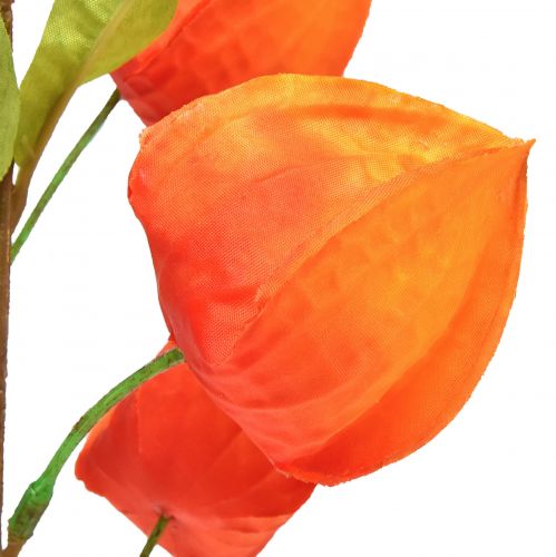 Floristik24 Tekokukka oranssi lyhtykukka Physalis koristeelliset silkkikukat 93cm 2 kpl