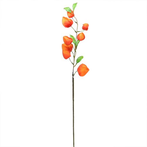 Floristik24 Tekokukka oranssi lyhtykukka Physalis koristeelliset silkkikukat 93cm 2 kpl