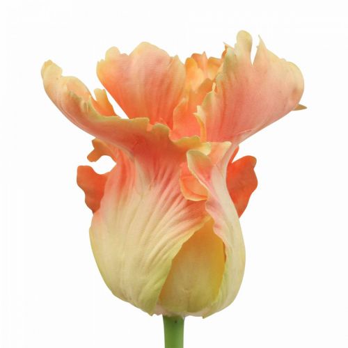kohteita Tekokukka, papukaija tulppaani oranssi, kevätkukka 63cm