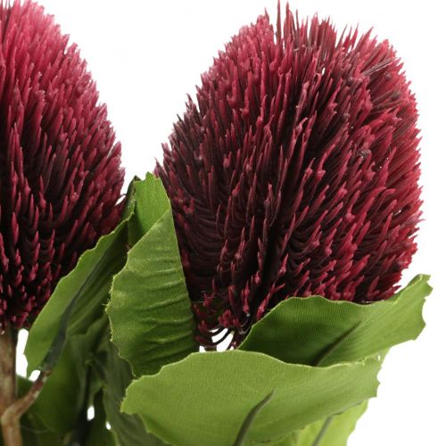 Tekokukat, Banksia, Proteaceae viininpunainen L58cm K6cm 3kpl