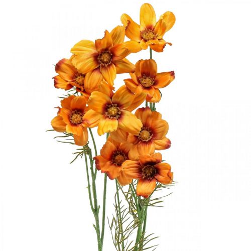 Floristik24 Tekokukat Cosmea Oranssi korukori H51cm 3 kpl