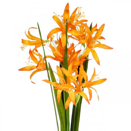 Floristik24 Tekokukat Nerine Orange Guernsey Liljat Syksykukat 48cm
