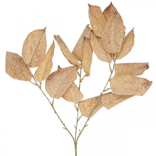 kohteita Keinotekoinen kasvin syyskoriste oksan lehdet pesty valkoiseksi L70cm