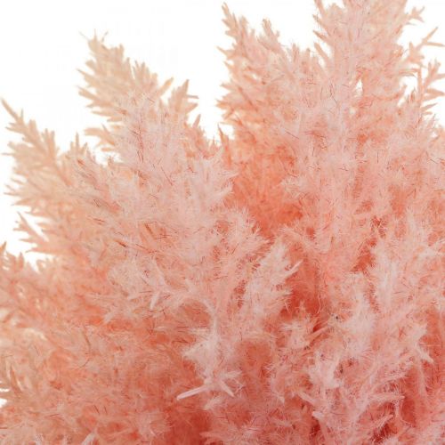 kohteita Tekokasvi Astilbe koristeoksat Keinopunainen K38cm 5 kpl