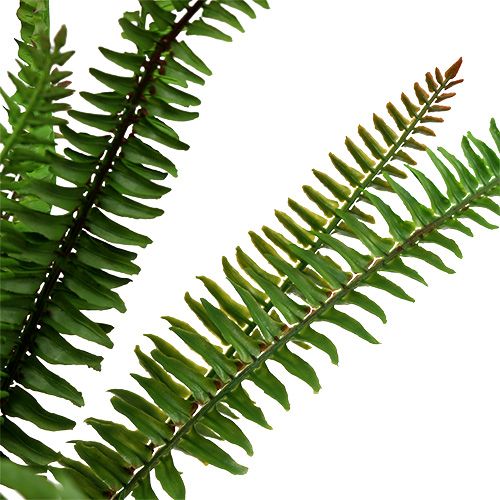 Floristik24 Keinotekoinen saniainen tummanvihreä 45cm