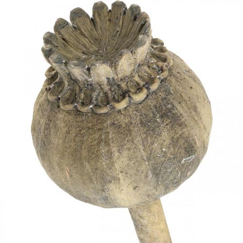 Tekokivikoristeet unikko antiikkikoristeet ruskea Ø13cm L37,5cm