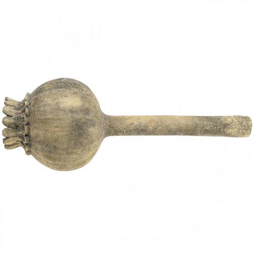 kohteita Tekokivikoristeet unikko antiikkikoristeet ruskea Ø13cm L37,5cm