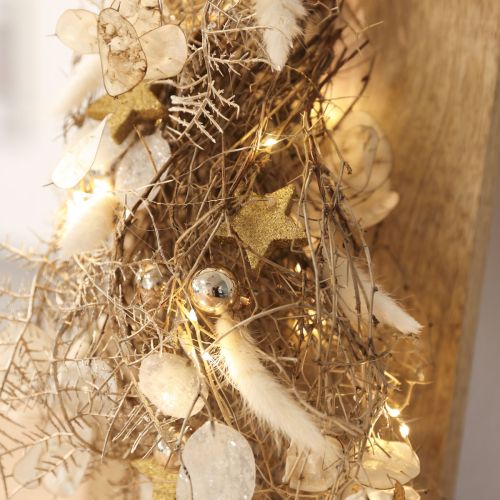 Kuivatut kukat Lagurus Natural – Fluffy Rabbit Tail Grass kermanvalkoisena 55-70cm 100g | Floristik24.fi