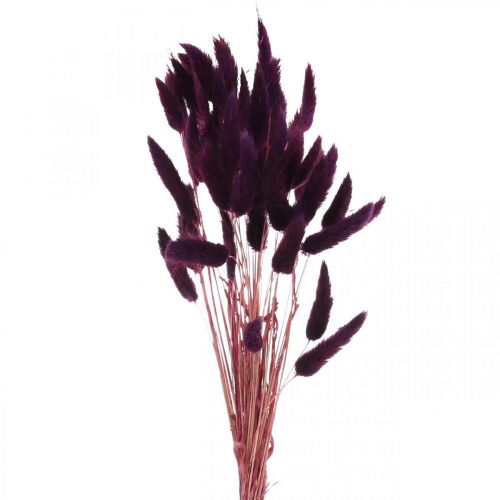 kohteita Velvet Grass Violet, Rabbit Tail Grass, Lagurus L18-50cm 25g