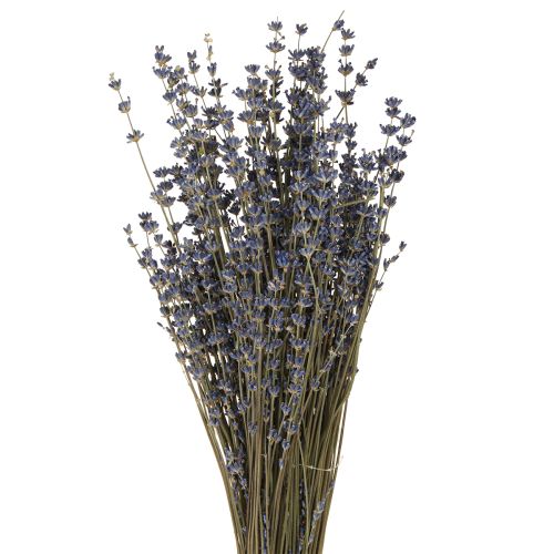 kohteita Laventeli kuivatut kukat koristelu Natural 100g 40cm 100g × 2kpl