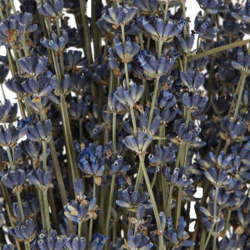 kohteita Laventeli kuivatut kukat koristelu Natural 100g 40cm 100g × 2kpl