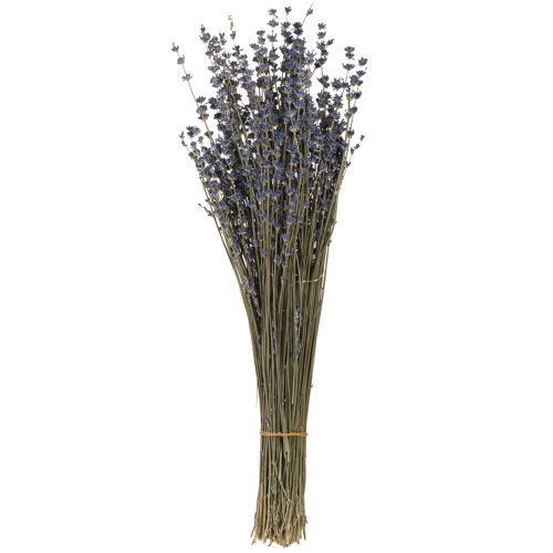 kohteita Laventeli kuivatut kukat koristelu Natural 100g 40cm 100g × 2kpl