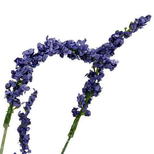 Floristik24 Laventeliholkki 55cm sininen