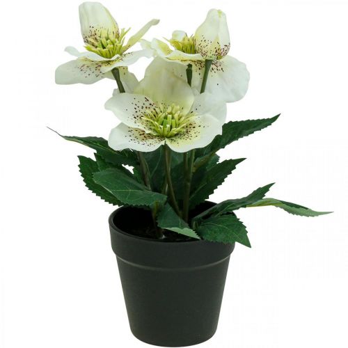 Paastonruusu Hellebore Jouluruusuruukku tekokukat H25cm valkoinen