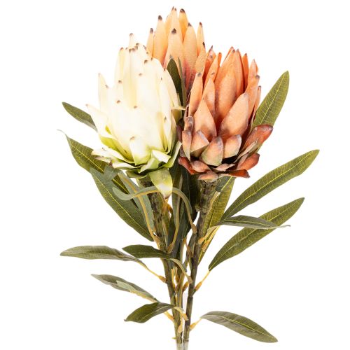 Keinotekoinen Protea Leucadendron -kukka pitkällä varrella, 65 cm, 3 kpl ostaa | Floristik24.fi