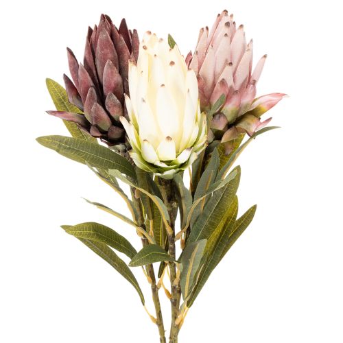 Protea-tekokukka Leucadendron 100cm 3kpl