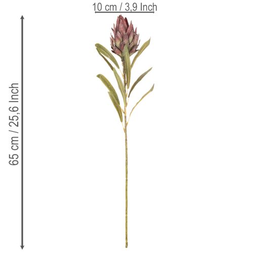Protea-tekokukka Leucadendron 100cm 3kpl | Floristik24.fi