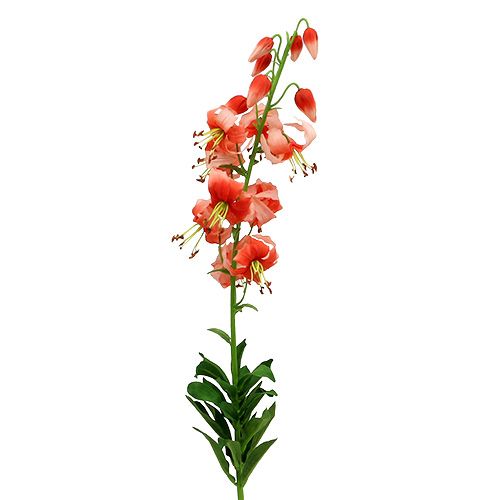 Floristik24 Lily 87,5 cm lohi