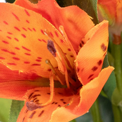 Keinotekoinen alstroemeria, oranssi kukka, keinotekoinen kimppukoriste, 75 cm, 3 kpl | Floristik24.fi