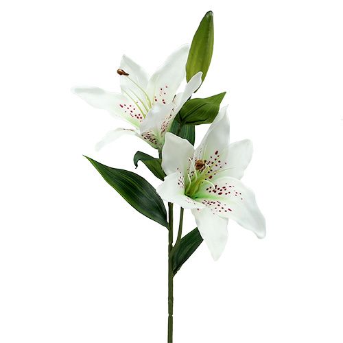 Floristik24 Lily White 66 cm