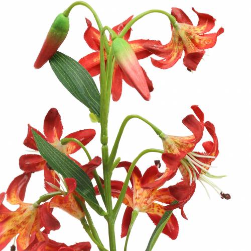 kohteita Lily oranssi 82cm