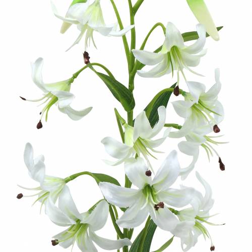 Floristik24 Lilja valkoinen 82cm