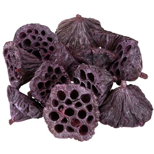 kohteita Lotus kapselit, kuiva kukkakauppa, lotus bulb pinkki, pesty valkoinen 50 kpl