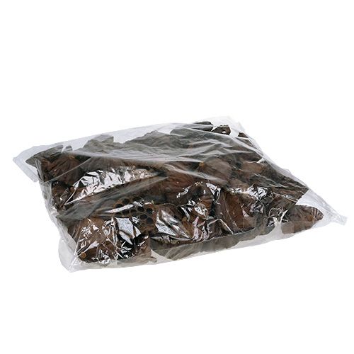kohteita Lootuspullo iso 100 kpl luonnollinen