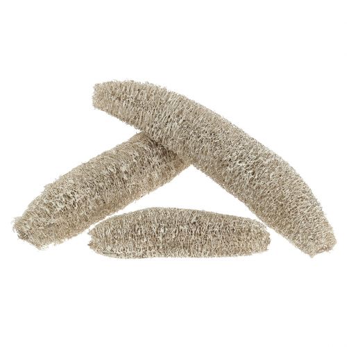 Loofah iso pesty valkoinen 20kpl