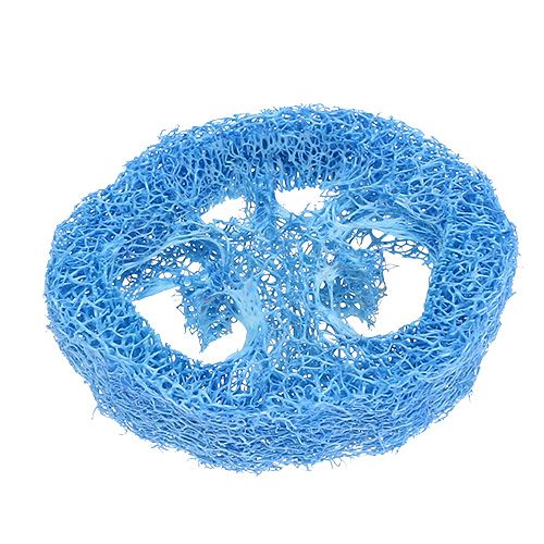 Luffa viipaleita taivaansinisiä 25 kpl