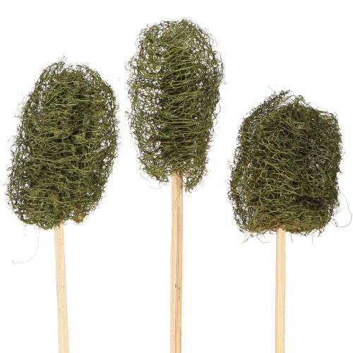 Floristik24 Luffa pieni tikulla oleva sokerikakkukurkku tummanvihreä 5-7cm 25 kpl