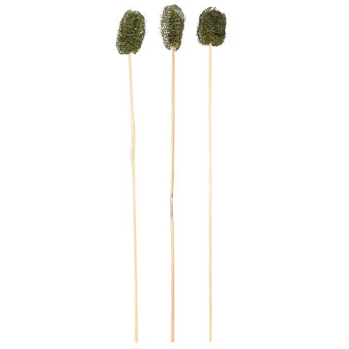 Floristik24 Luffa pieni tikulla oleva sokerikakkukurkku tummanvihreä 5-7cm 25 kpl