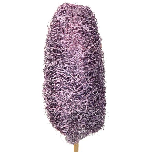 Floristik24 Luffa varressa, pieni, kuivattu, koristeellinen marja, 5-12 cm, 25 kpl