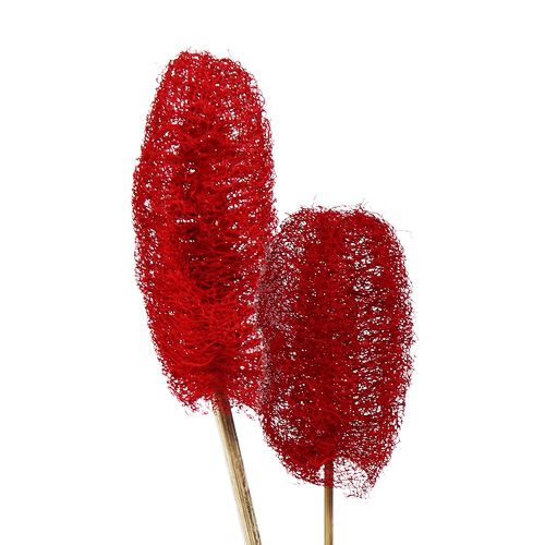 Luffa iso tikkussa Punainen 25kpl