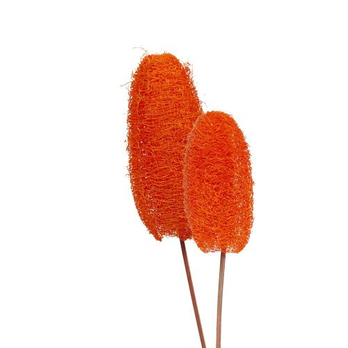 Luffa pieni tikkussa Oranssi 25kpl
