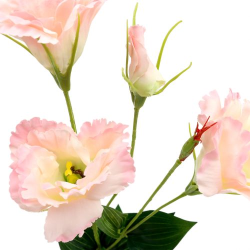 kohteita Lysianthus keinopintainen 87,5cm