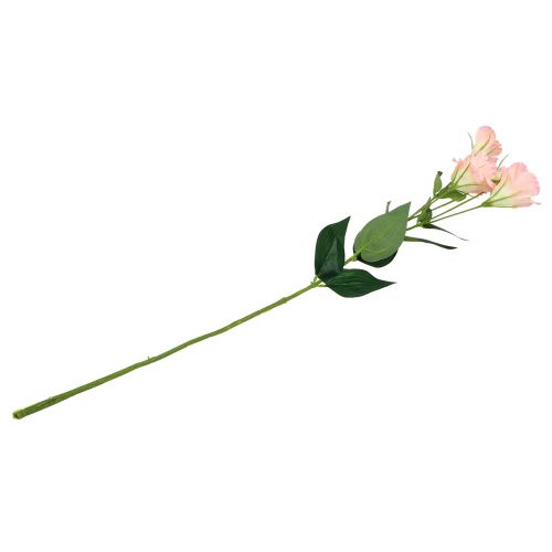 kohteita Lysianthus keinopintainen 87,5cm