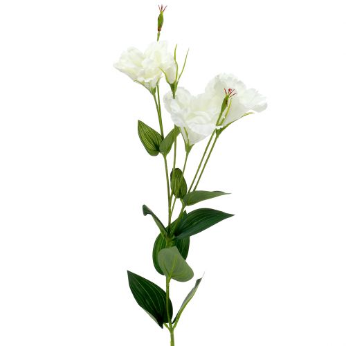 Floristik24 Lysianthus tekokukka valkoinen L87,5cm