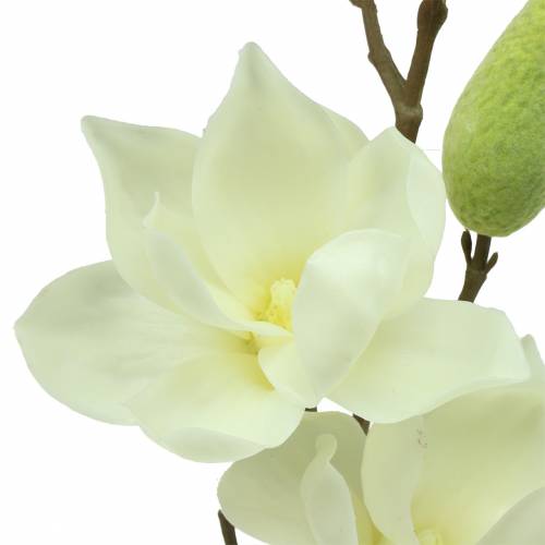 kohteita Magnolia Real Touch White 70cm