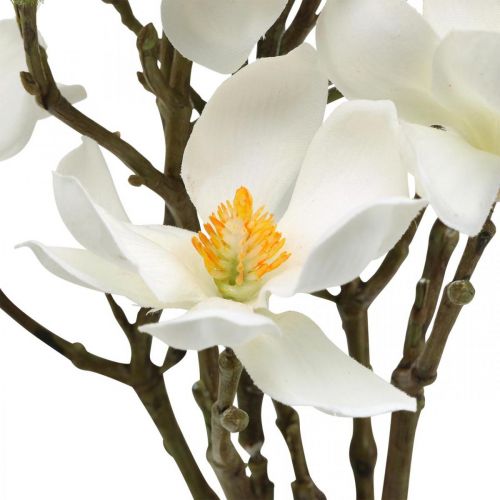Floristik24 Keinotekoiset magnolian oksat valkoinen deco-oksa H40cm 4kpl nipussa