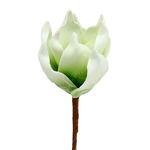 Floristik24 Magnoliakukka on valmistettu vaahtomuovista valkoinen-vihreä Ø10cm L26cm 4kpl