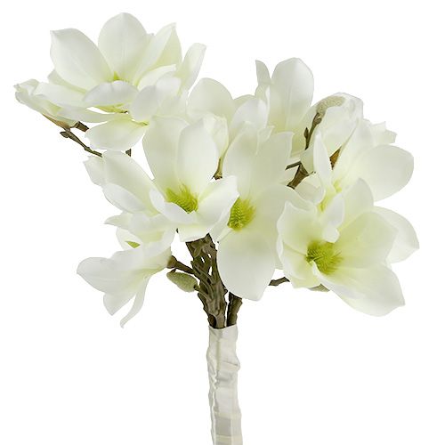 Floristik24 Magnolia nippu valkoinen 40cm 5kpl
