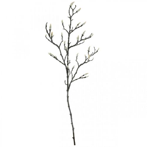 Floristik24 Spring Magnolia Branch Silppu Keinotekoinen Branch Ruskea Valkoinen L100cm