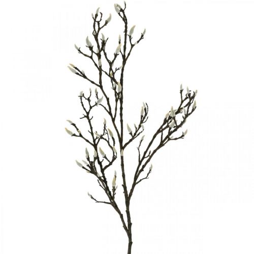 kohteita Keinotekoinen magnoliaoksa Kevätkoristeluoksa silmuilla Ruskea Valkoinen L135cm